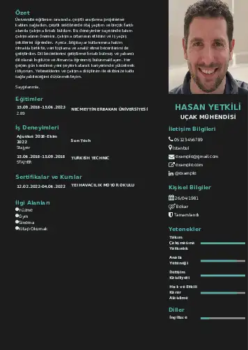 Havacılık Ve Uzay Uçak Mühendisi Cv Örnekleri cv indir